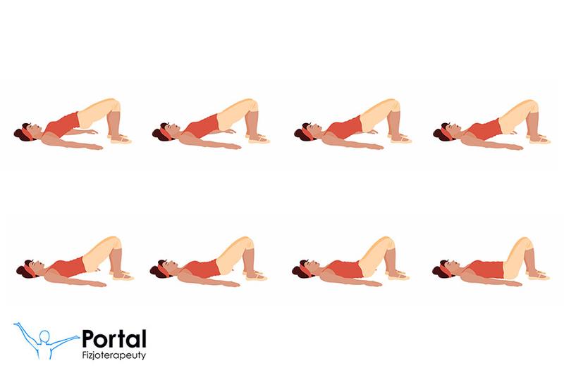 Podstawy anatomii mięśniowej