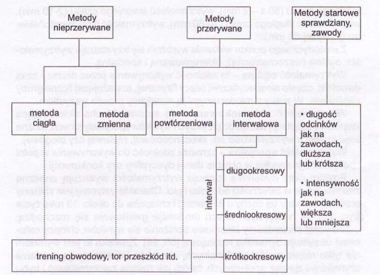 Sztuka efektywnego podziału treningu na siłowni – jak to zrobić?