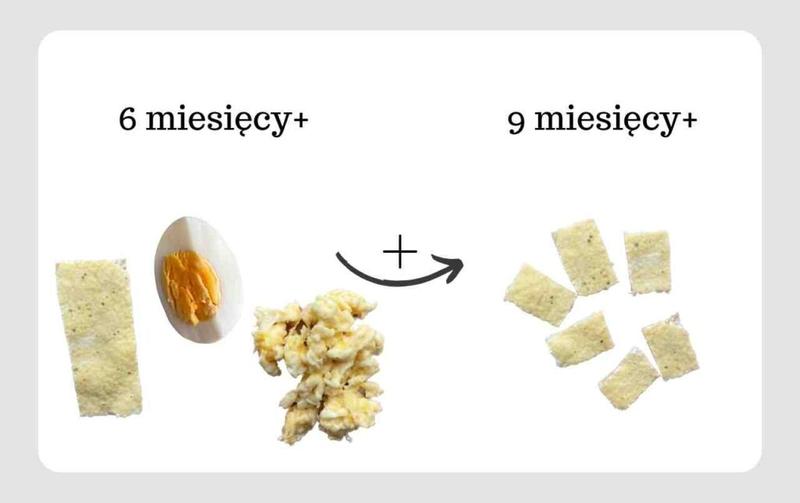 Wprowadzenie jajka do diety niemowlaka – co warto wiedzieć?