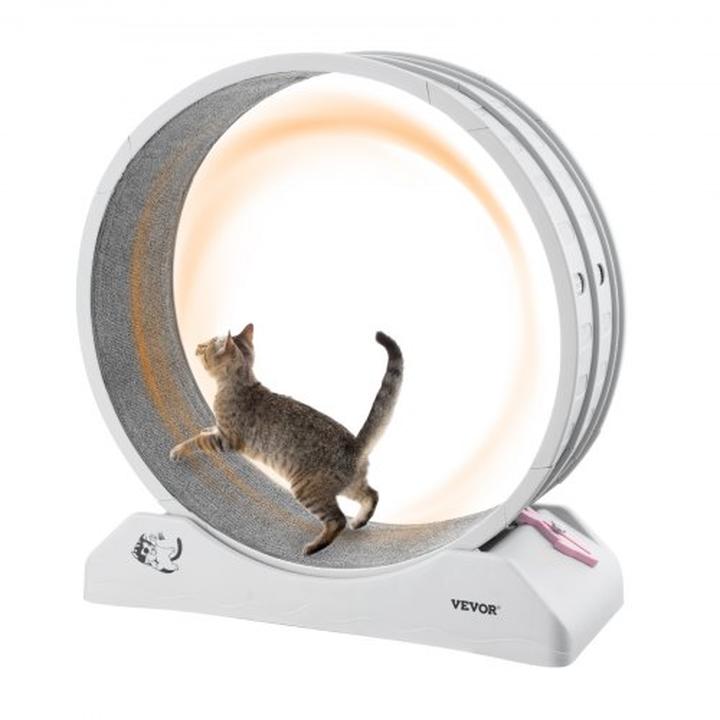 Bieganie na bieżni korzyści zdrowotne