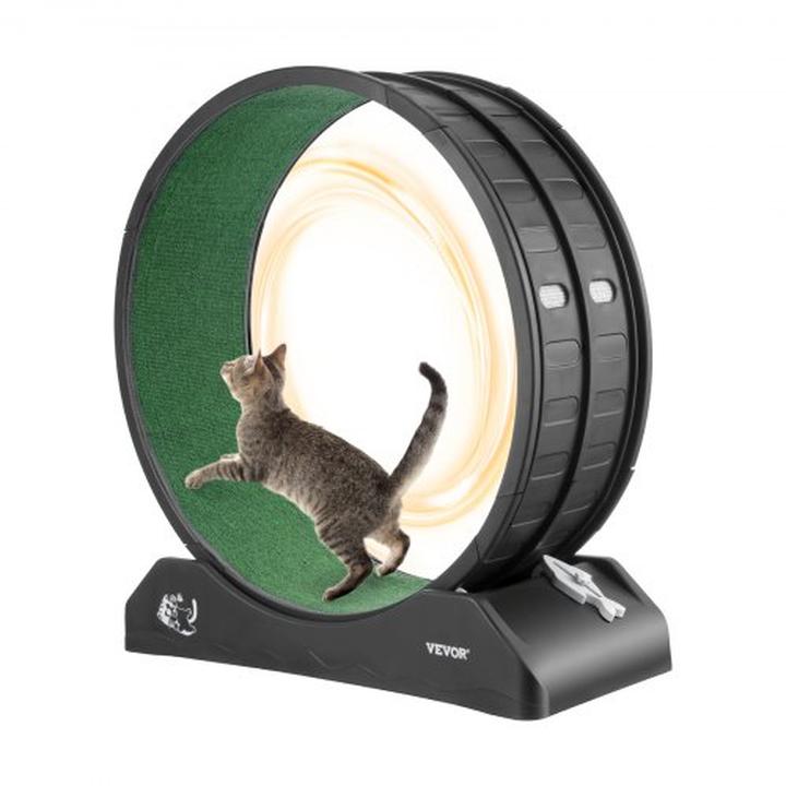 Bieżnia a zdrowie serca i układ krążenia