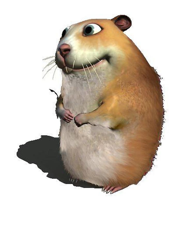 Chomikuj inspiracje biegowe