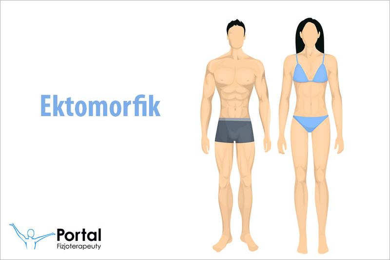 Odżywianie ektomorfika na masę