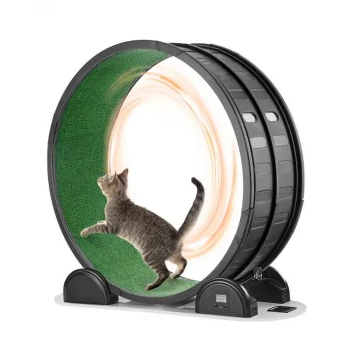 Czy bieganie na bieżni przynosi realne korzyści dla zdrowia?