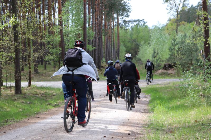 Ile kalorii można spalić, pokonując 50 km na rowerze? Zobacz, jakie to ważne!