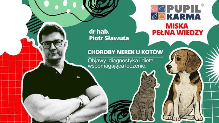 Odkryj, co jem na diecie: Przewodnik po odcinkach YouTube