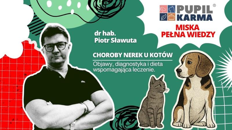 Odkryj, co jem na diecie: Przewodnik po odcinkach YouTube