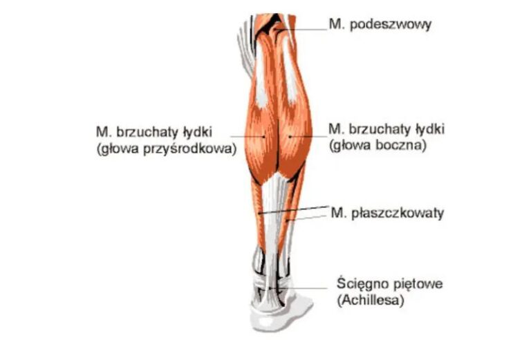 Skuteczne metody na pozbycie się mięśni łydek – odkryj tajemnice smukłych nóg