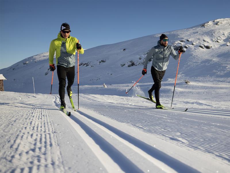 Dobór nart biegowych