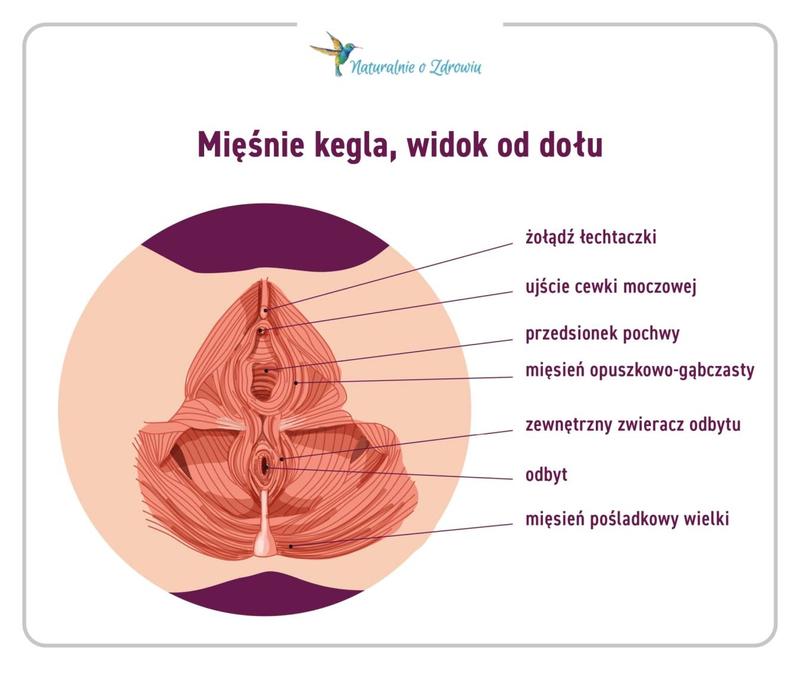 Korzyści zdrowotne ćwiczeń Kegla