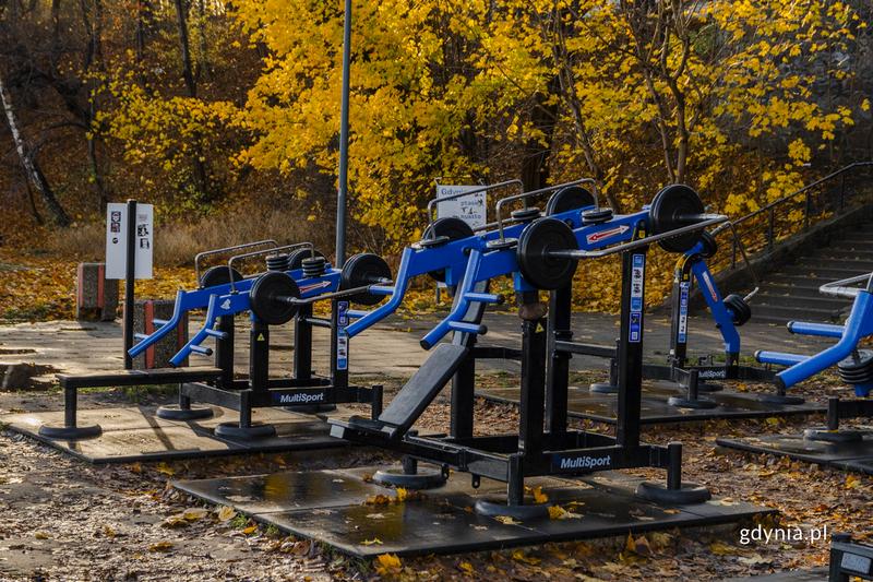 Koszty siłowni na powietrzu