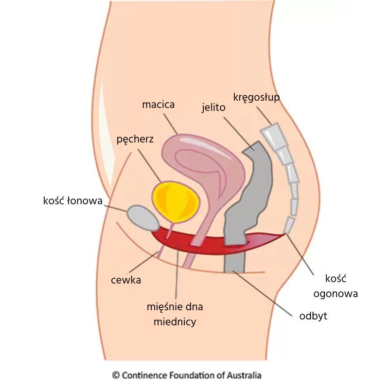 Techniki wzmacniania mięśni Kegla