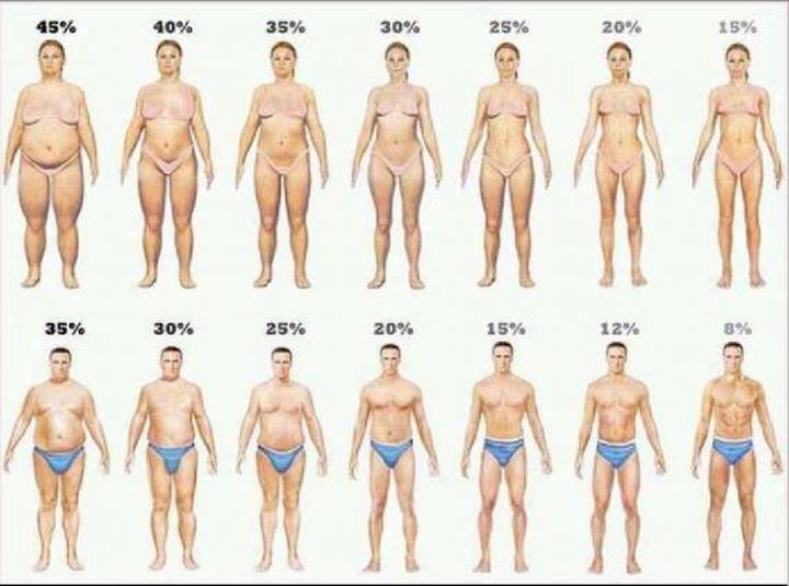Trening na redukcję tkanki tłuszczowej