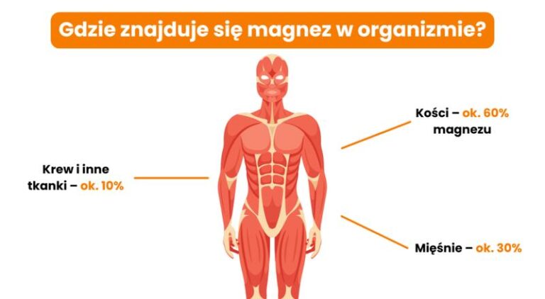 Jak skutecznie zbadać poziom magnezu w mięśniach? Praktyczny przewodnik