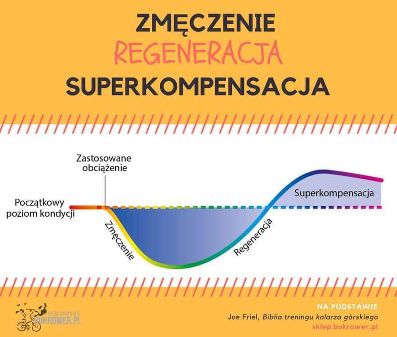 Białko i węglowodany po treningu