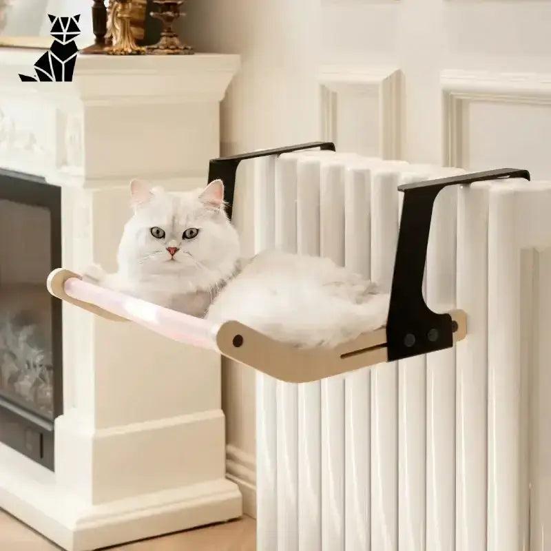 Ćwiczenia na mięśnie brzucha w domu