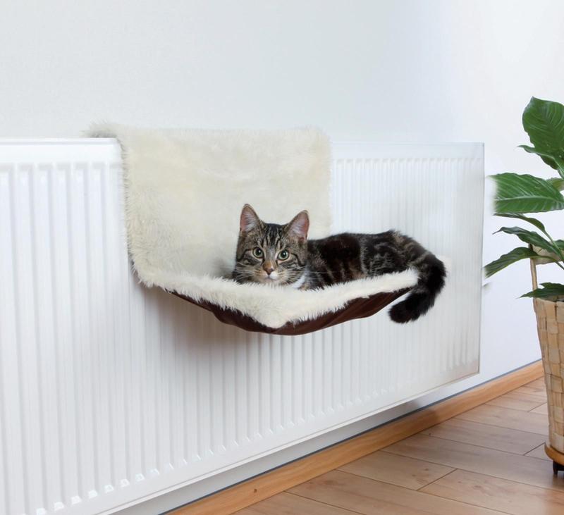 Dieta i trening na kaloryfer