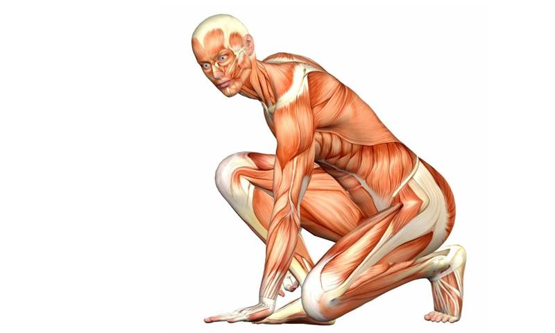 Odżywianie a regeneracja mięśni