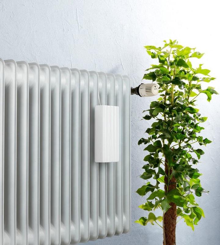 Plan treningowy na sześciopak