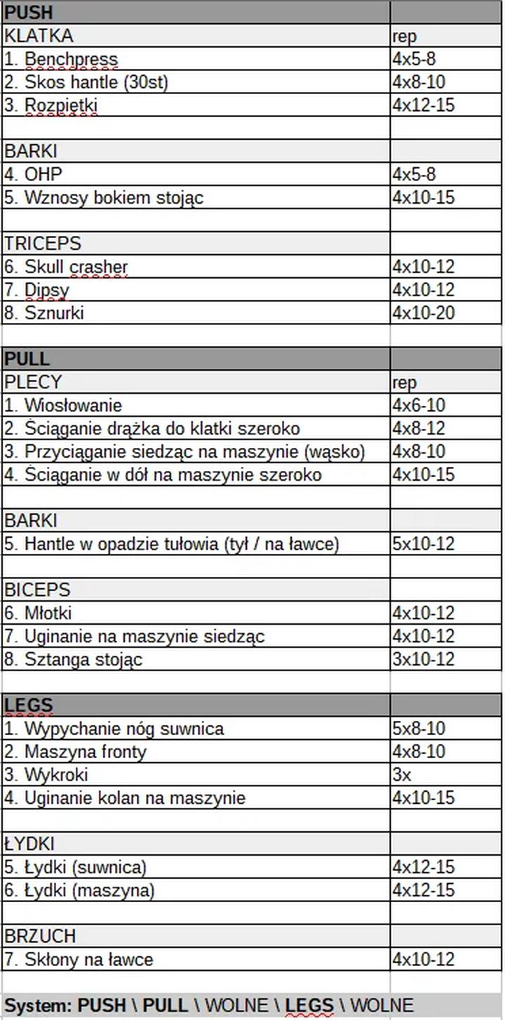 Plan treningowy push pull dla początkujących