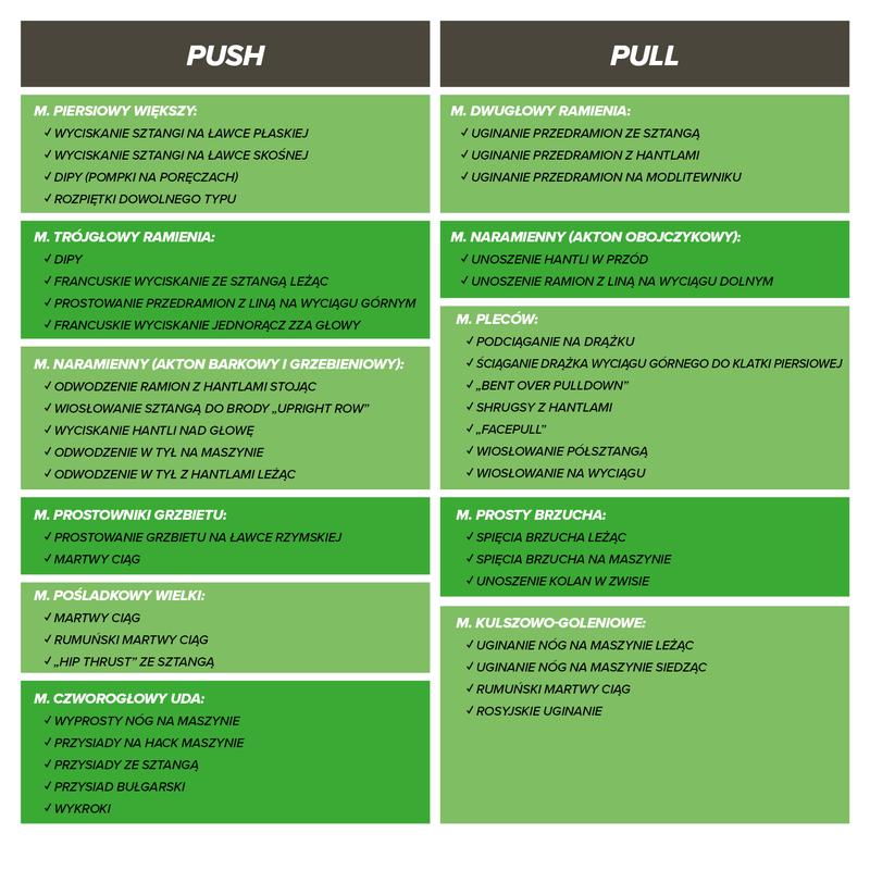 Podstawy treningu push pull