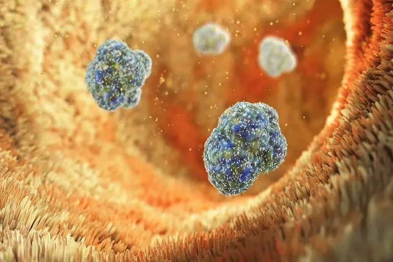 Zdrowe odżywianie a zdrowie jelit