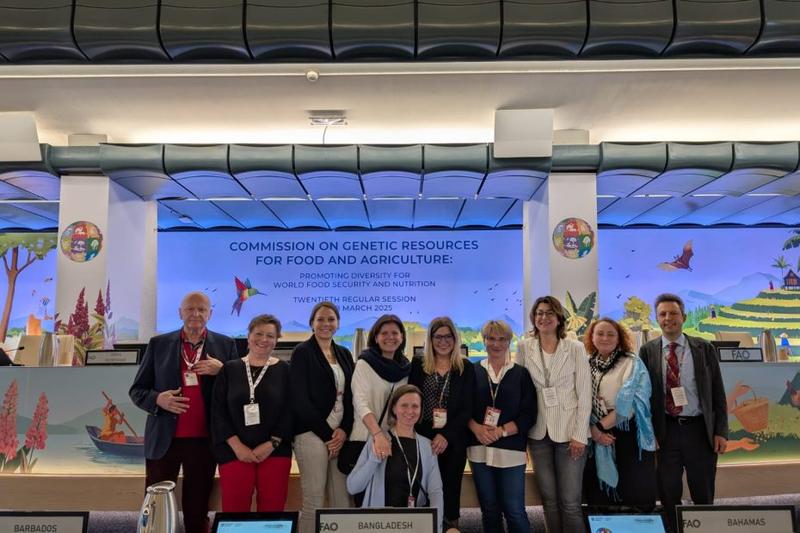 Zdrowe życie bez diety