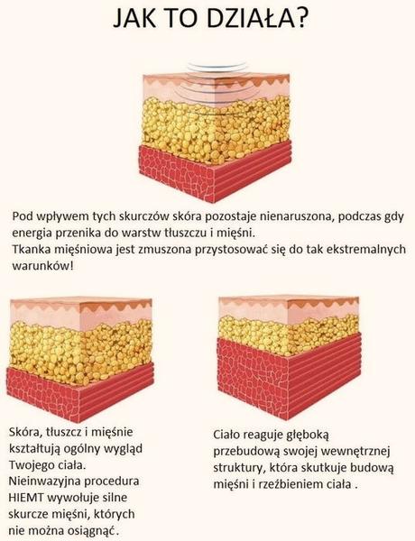 Budowa mięśni naturalnie