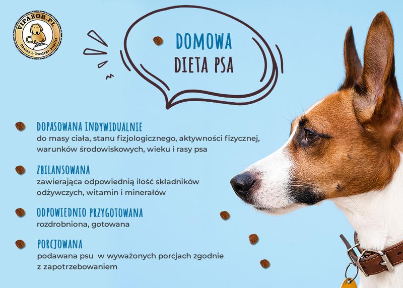 Dieta dla psa