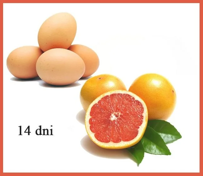 Dieta norweska – czy rzeczywiście działa i przynosi efekty?