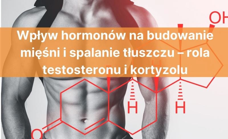 Ile mięśni można zbudować naturalnie? Odkryj swoje możliwości!