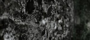 Jaką kąpiel po treningu wybrać, aby zregenerować mięśnie?