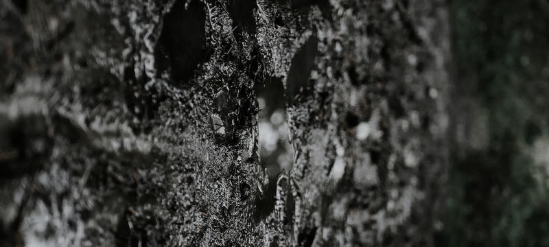 Jaką kąpiel po treningu wybrać, aby zregenerować mięśnie?