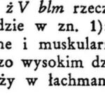 Skuteczne strategie na szybkie zwiększenie mięśni w krótkim czasie