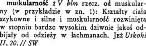 Skuteczne strategie na szybkie zwiększenie mięśni w krótkim czasie